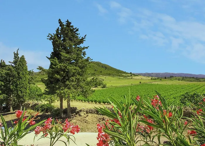 Apartment Cozy Escape In Villeseque-des-Corbieres